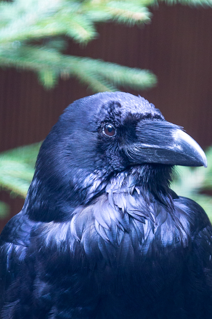 Poing Michael Gerlach 6