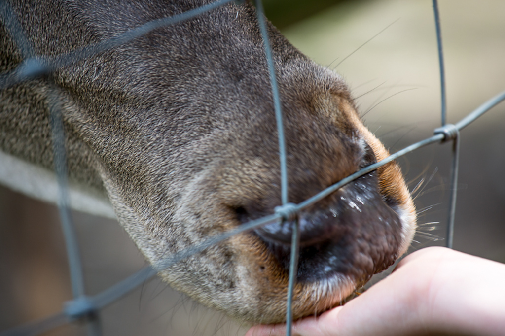 Poing Michaela Gerlach 1