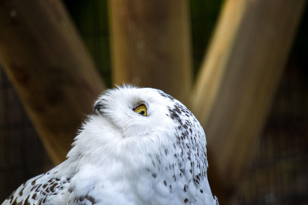 Poing Michaela Gerlach 2