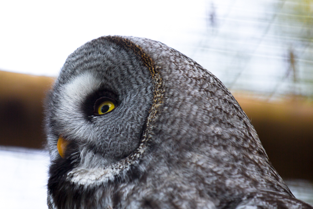 Poing Michaela Gerlach 3