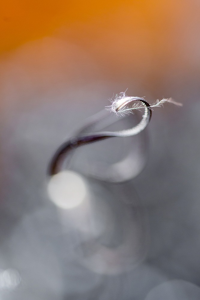 2015 04 12 Fotoclub Schrottplatz 025