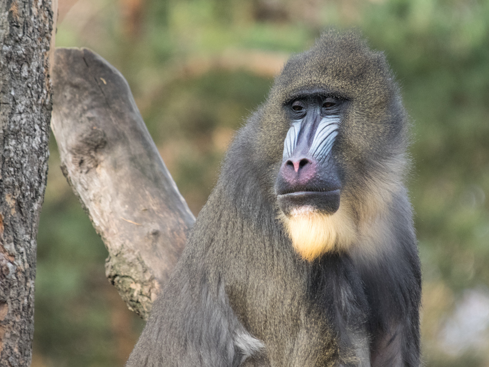 J rgen Zoo Augsburg 05