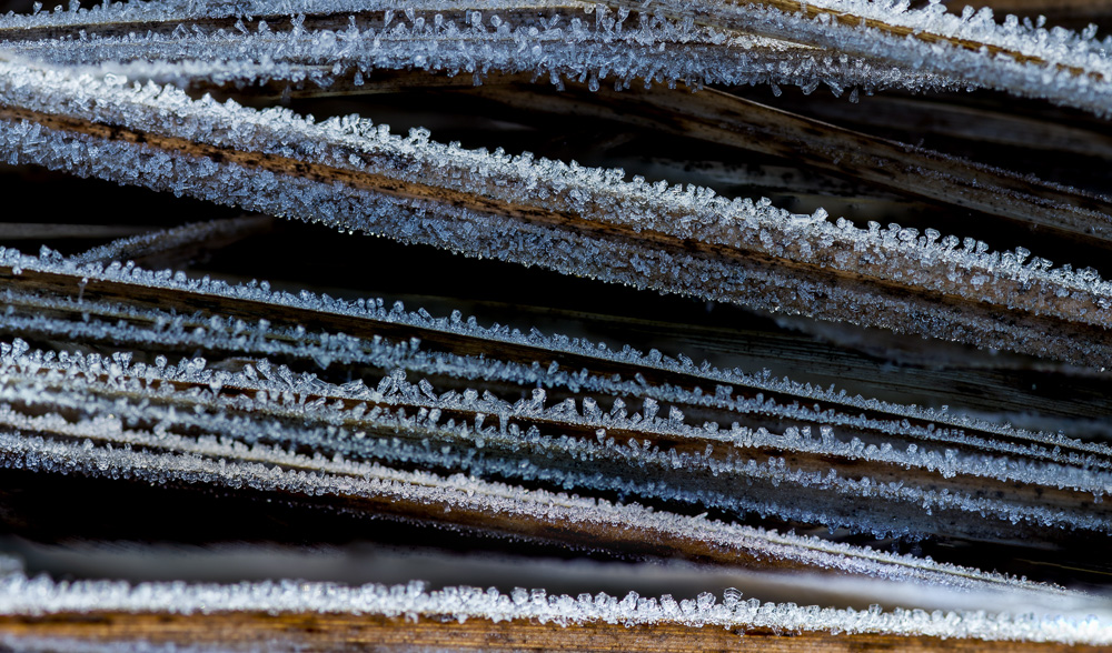 Fruehling 20170409 019 024 stack