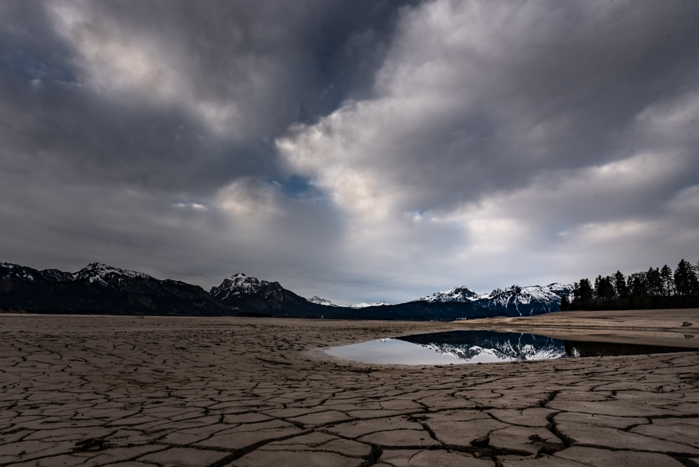 von Karoline Thalhofer