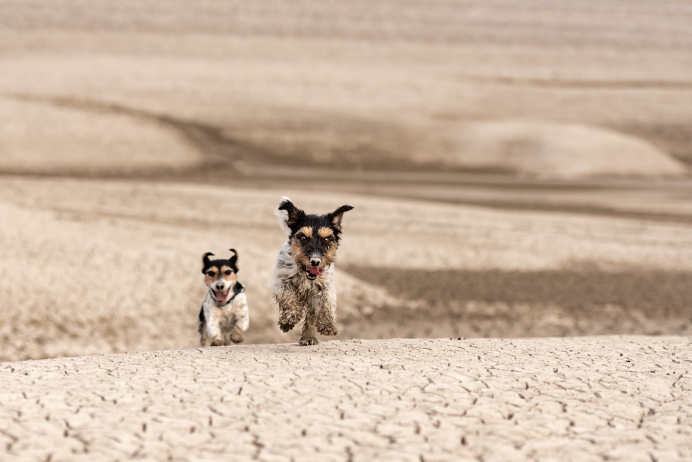 von Karoline Thalhofer