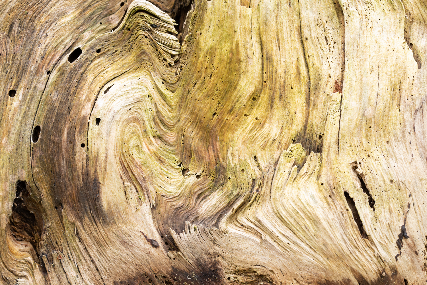 1 Baumstruktur 156079 19 04 12CK