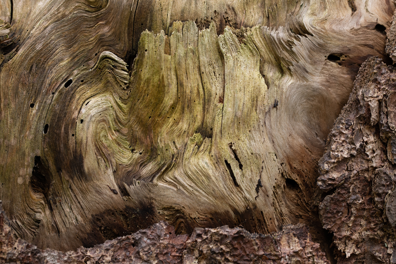 2 Baumstruktur 156082 19 04 12CK