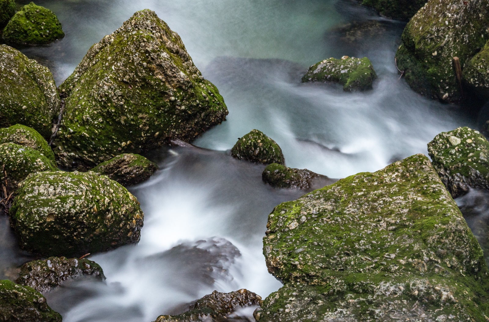 Feldmann Haldertobel 01