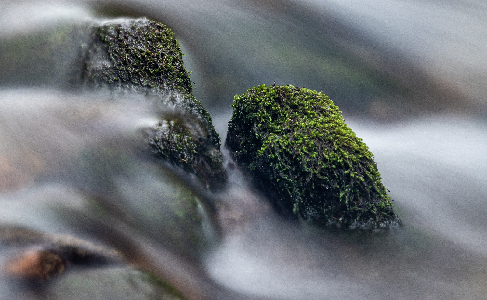 Feldmann Haldertobel 02