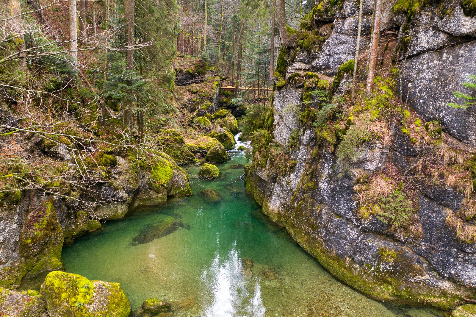 Prinz Haldertobel 02