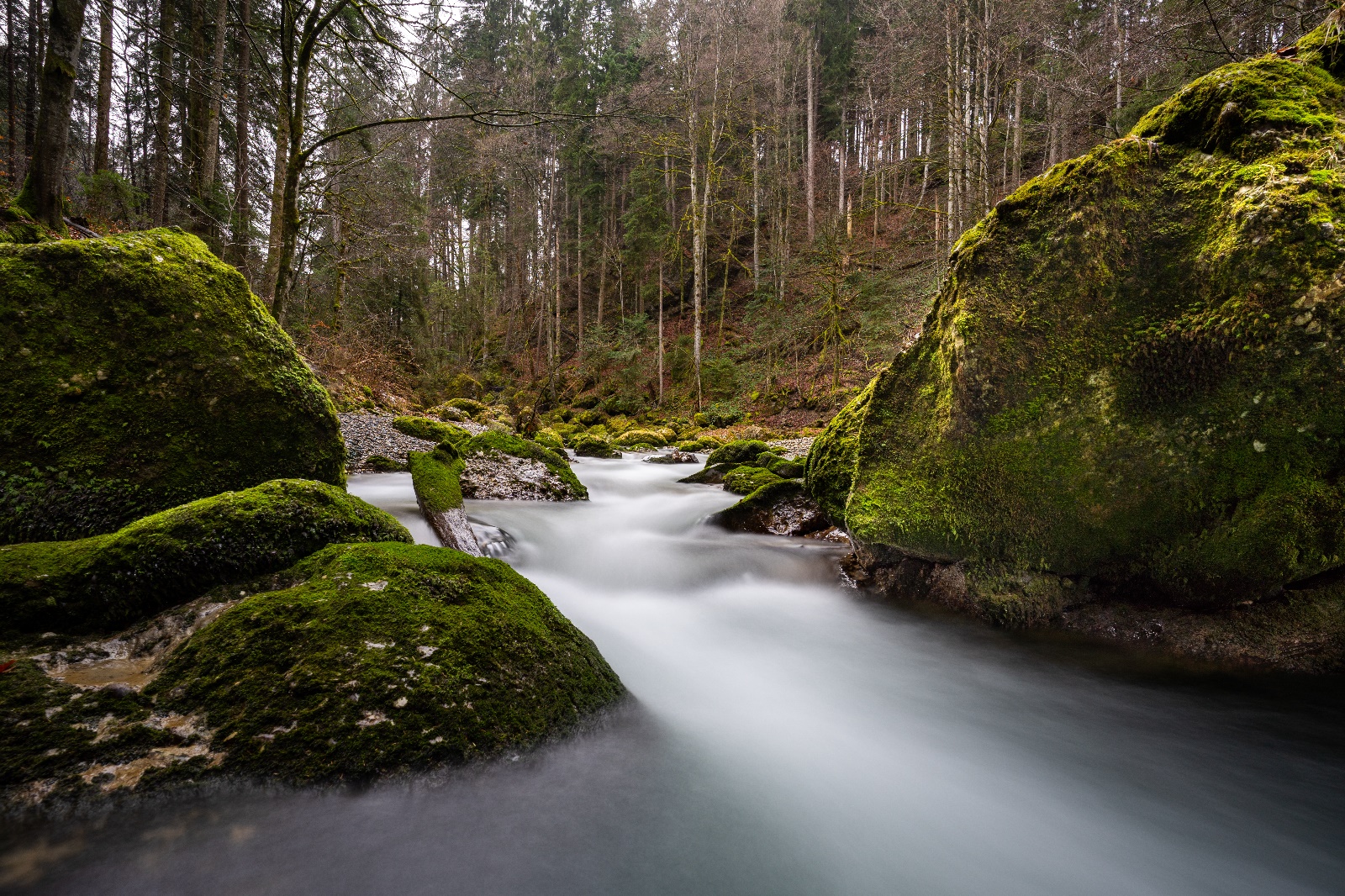 Prinz Haldertobel 04