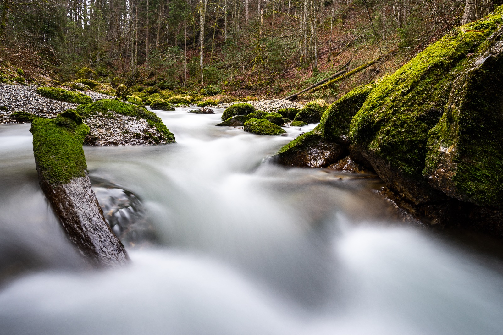 Prinz Haldertobel 06