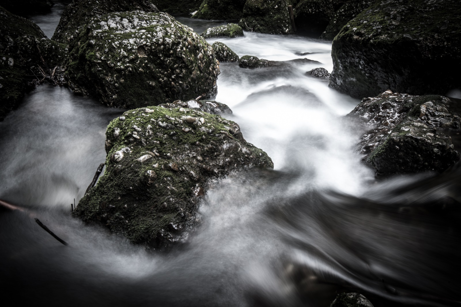 Rothfelder Haldertobel 01