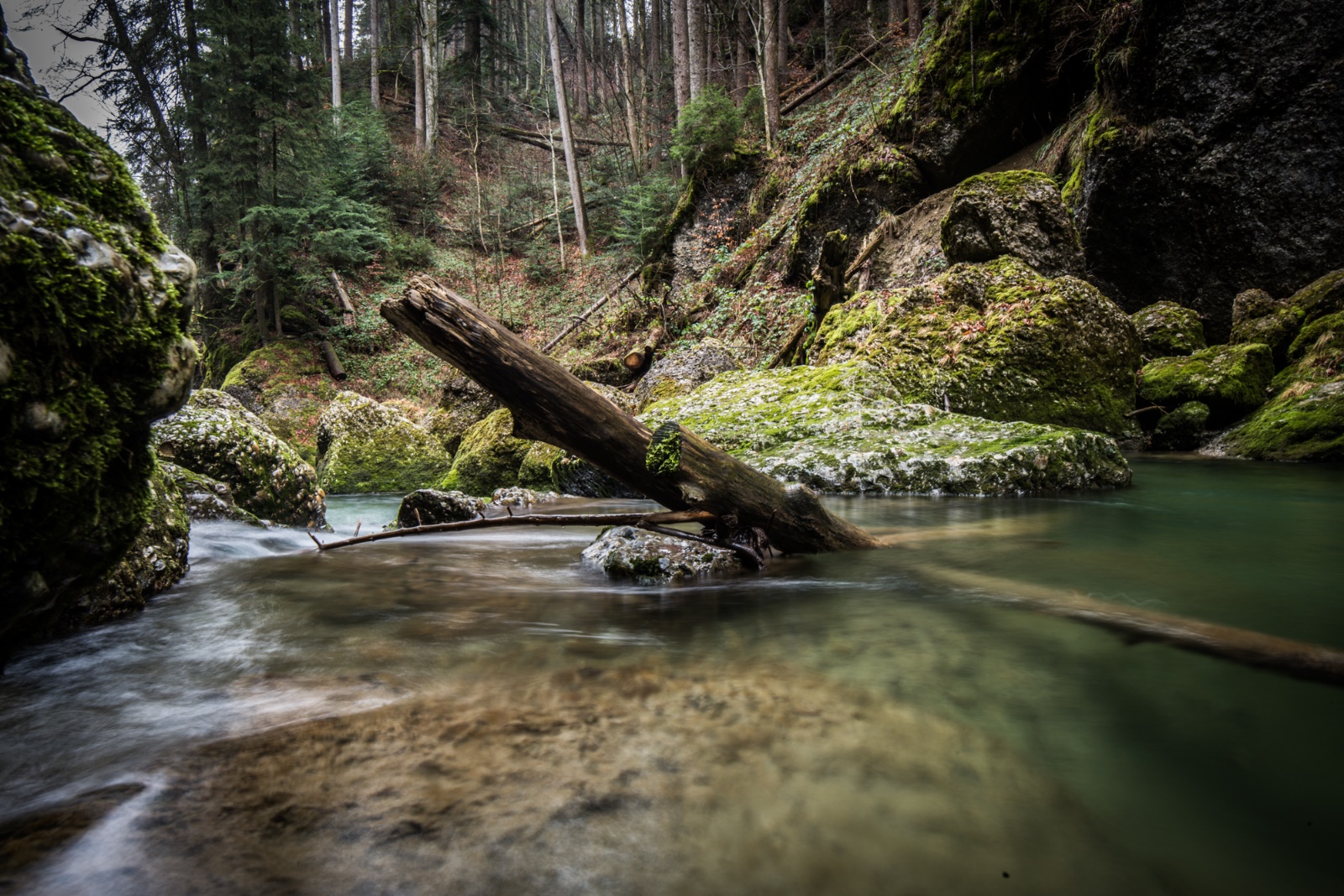 Rothfelder Haldertobel 04