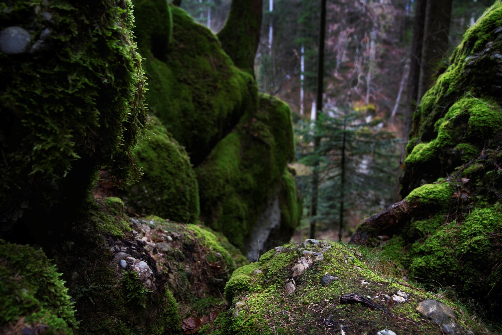 Unglert Haldertobel 06