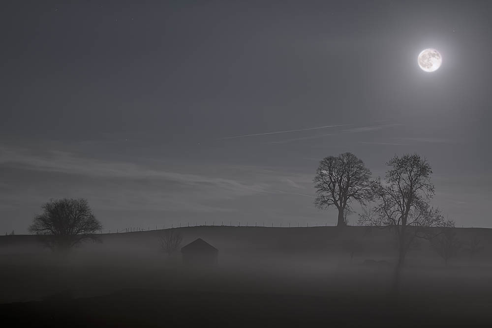 Monatsbilder Januar 2012