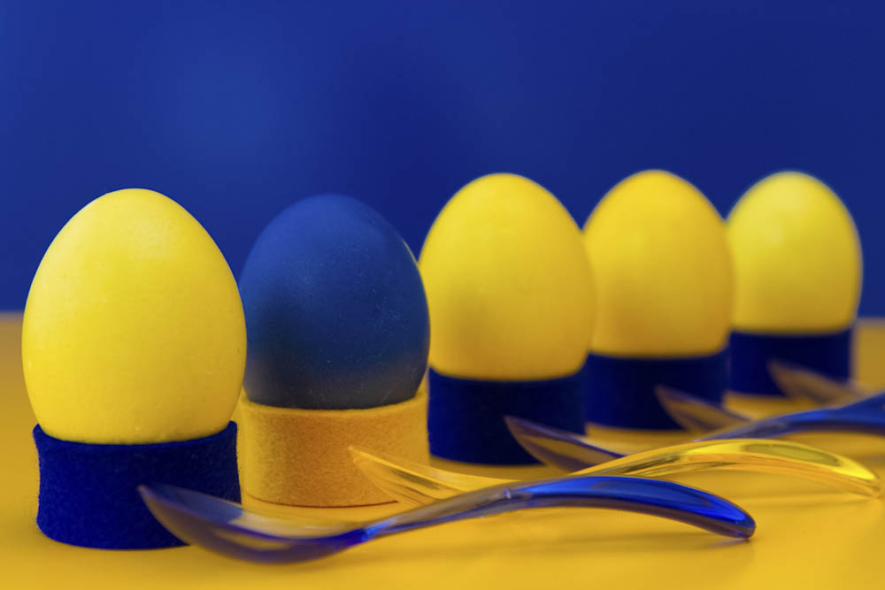 Monatsbilder Juni 2011