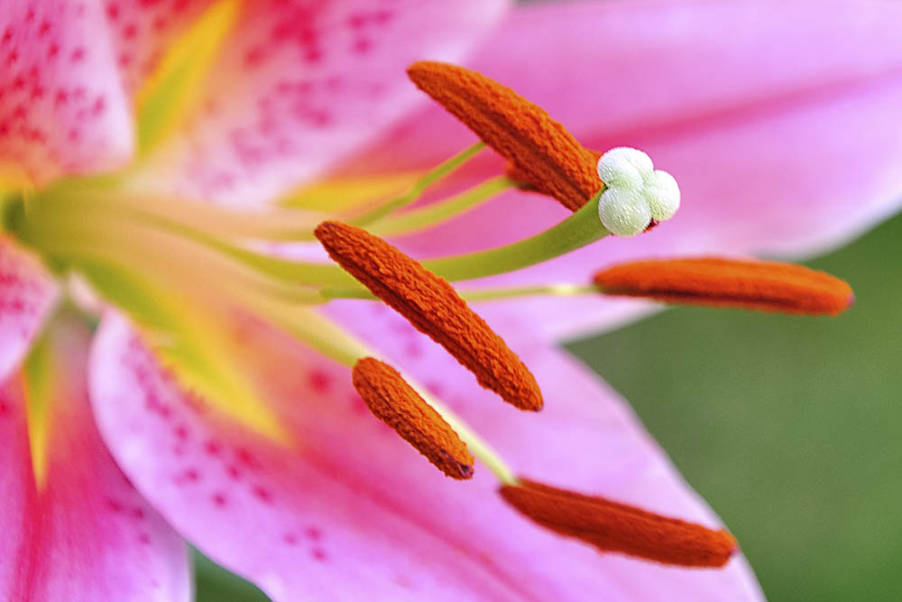 Monatsbilder September 2011