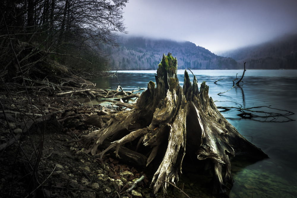 Unglert Morgenstille